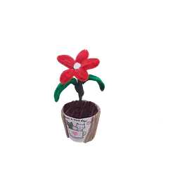 Everlasting Chenille Flower - Master