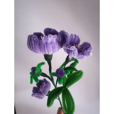 Purple bunch pipe flower primary image