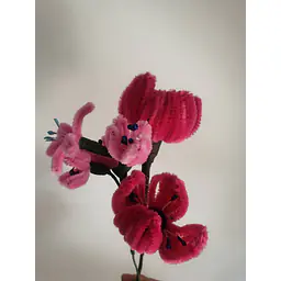 Pipe Flower Pink Tulip Bunch - Master