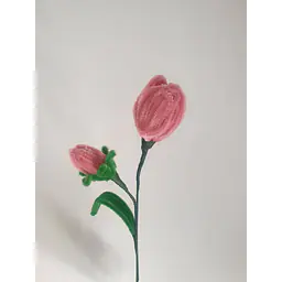 Pipe Flower Light Pink Tulip - Master