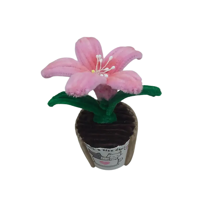 The Pink Grace Lily Flower - Master