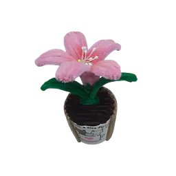 The Pink Grace Lily Flower - Master