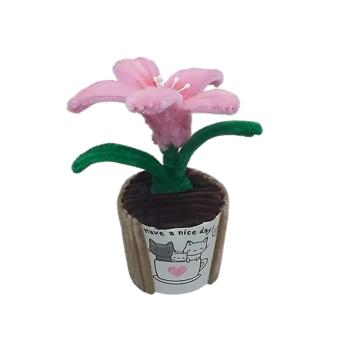 The Pink Grace Lily Flower - Master