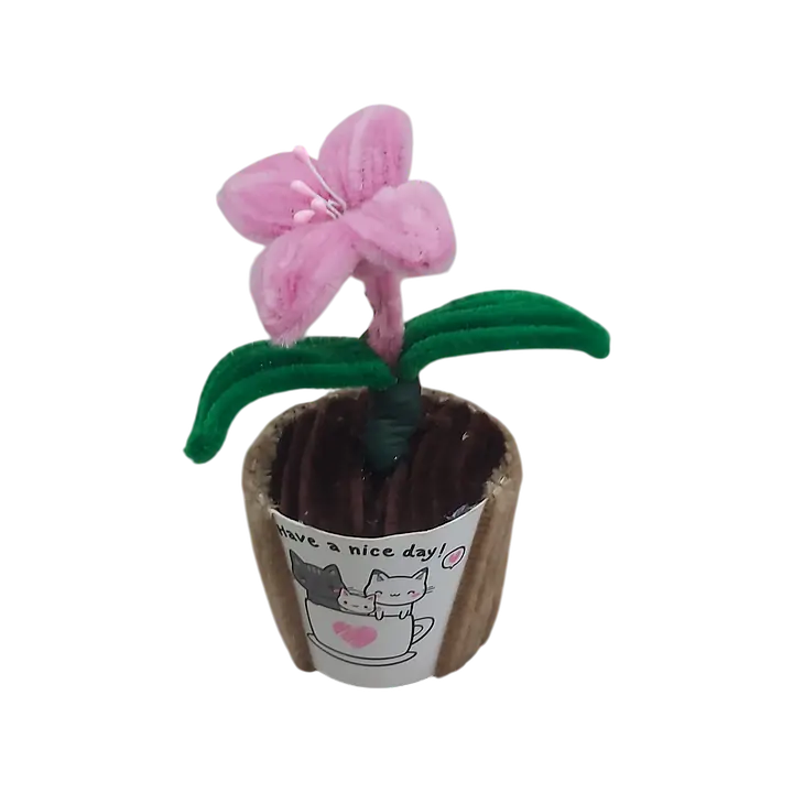 Sweetheart Lily Pot Flower - Master