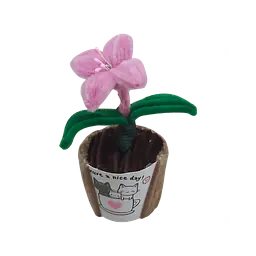Sweetheart Lily Pot Flower - Master