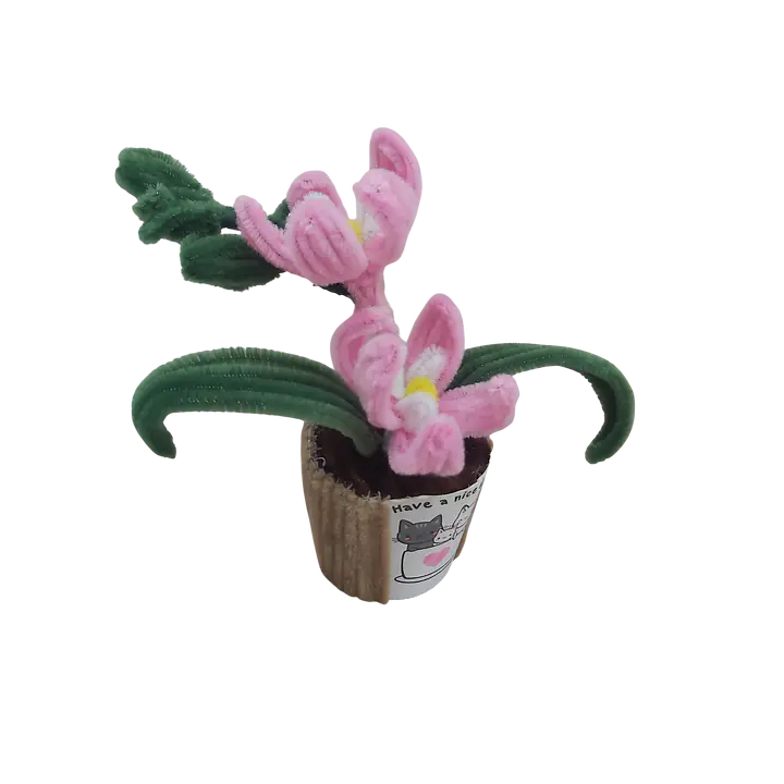 Sweet Pink Spring Pot Flower - Master