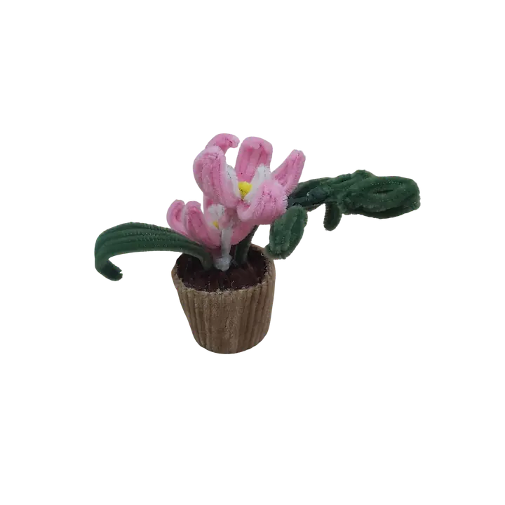 Sweet Pink Spring Pot Flower - Master