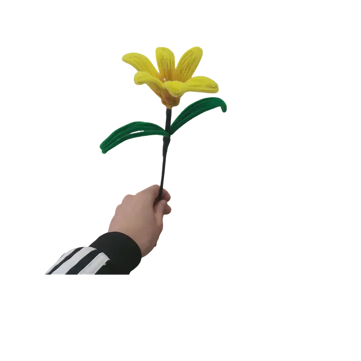 Classic Yellow Daylily Flower - Master