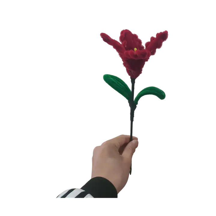 Midnight Rose Lily Flower - Master