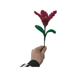 Midnight Rose Lily Flower - Master