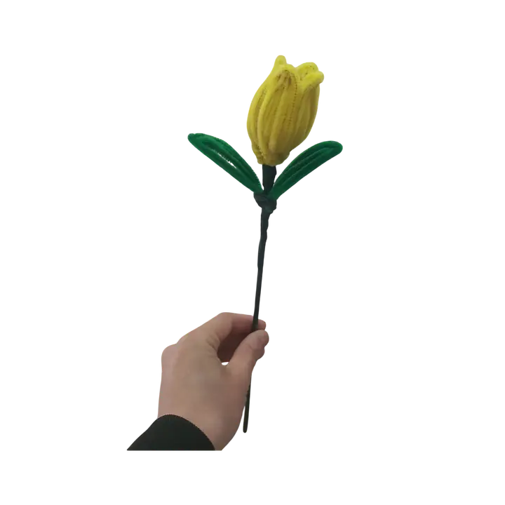 Hello Spring Yellow Tulip Flower - Master
