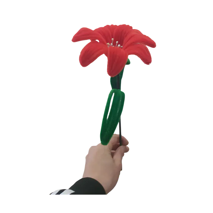 The Forever Passion Lily Flower - Master