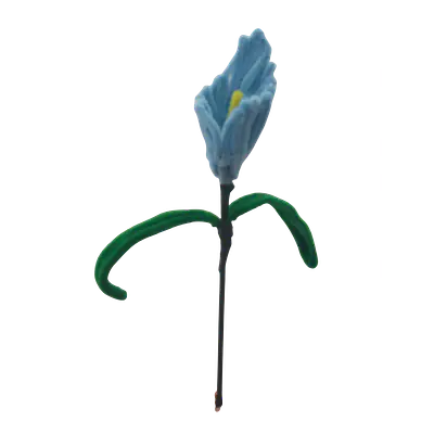 Sky Blue Iris Stem flower primary image