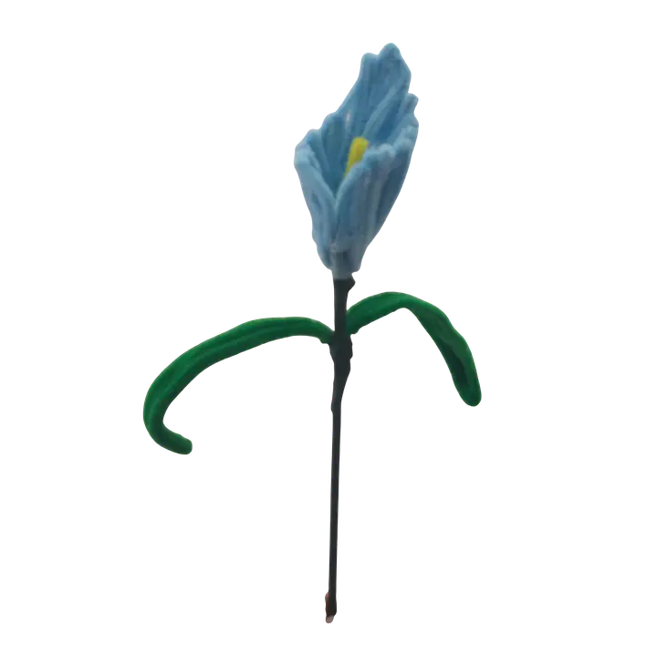Sky Blue Iris Stem flower - Master