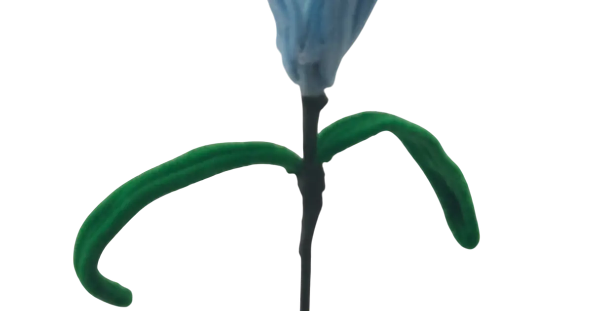 Sky Blue Iris Stem flower