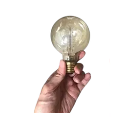 Vintage Edison Filament Bulb G80 - Master