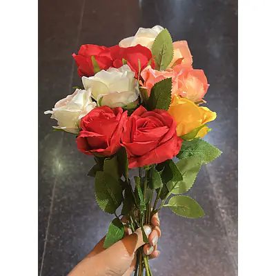 Rose primary image