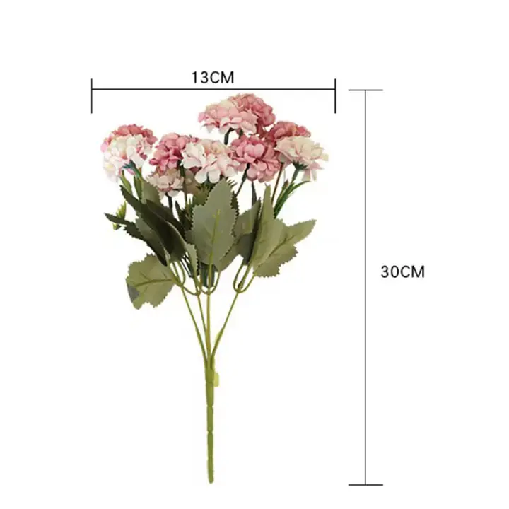 Dahlias Flower - Master