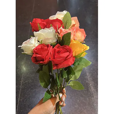 Rose primary image