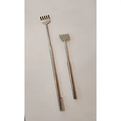 Extendable BackScratcher primary image