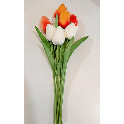 Single Tulip Flower primary image