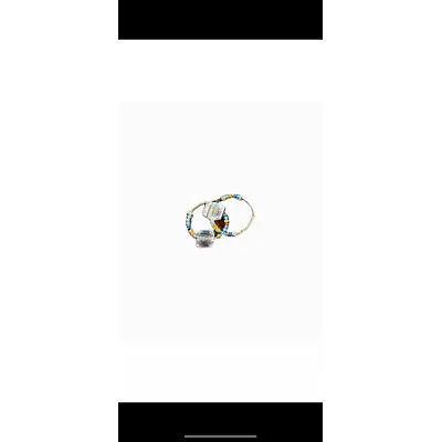 Earing primary image