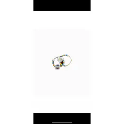 Earing - Master