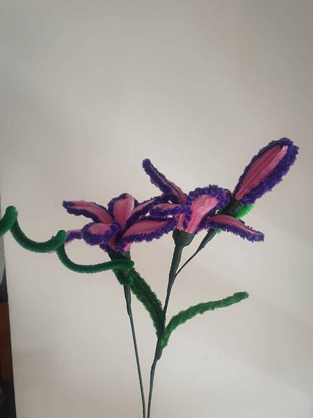 Purple Pink Pipe Flower bunch