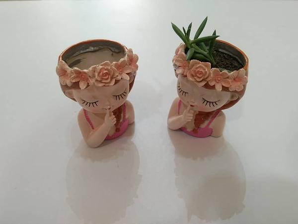 Succulent Plant Pot