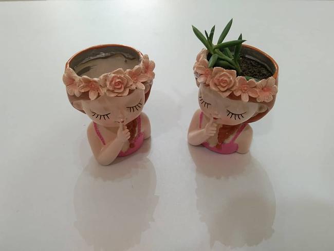 Succulent Plant Pot