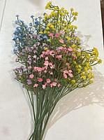 Gypsophila Flower