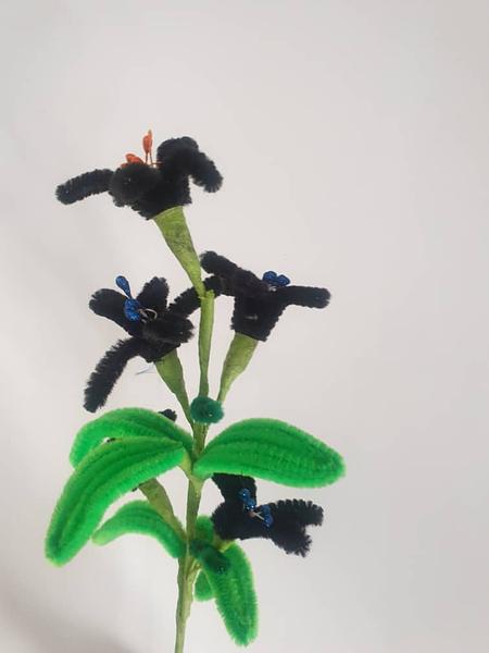 Pipe Flower Black