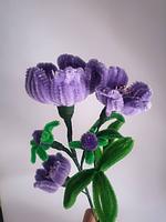 Purple bunch pipe flower