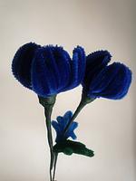 Pipe Flower Blue Tulip Bunch