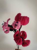 Pipe Flower Pink Tulip Bunch