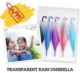 Transparent Umbrella
