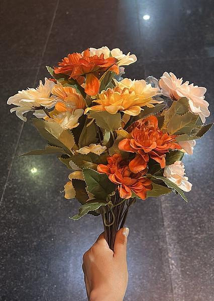 Dahlias Flower