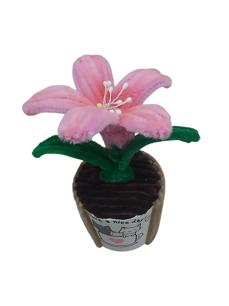 The Pink Grace Lily Flower