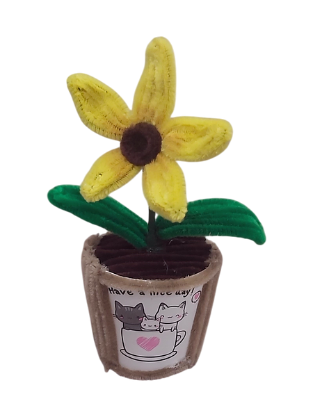 Five Petal Sunflower