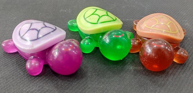 Turtle Kids Toy