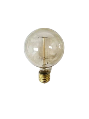 Vintage Edison Filament Bulb G80