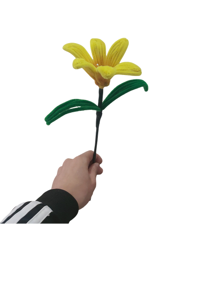 Classic Yellow Daylily Flower