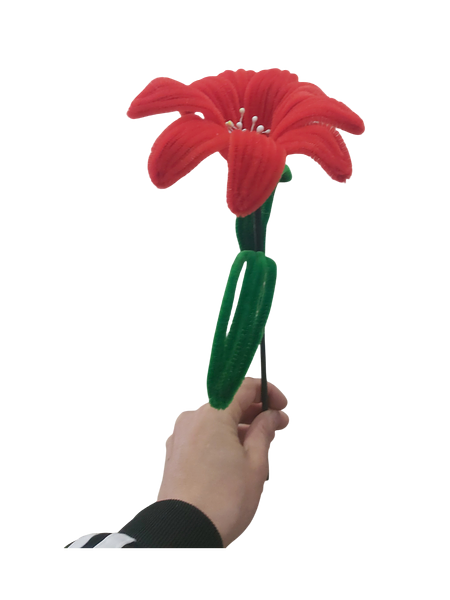 The Forever Passion Lily Flower