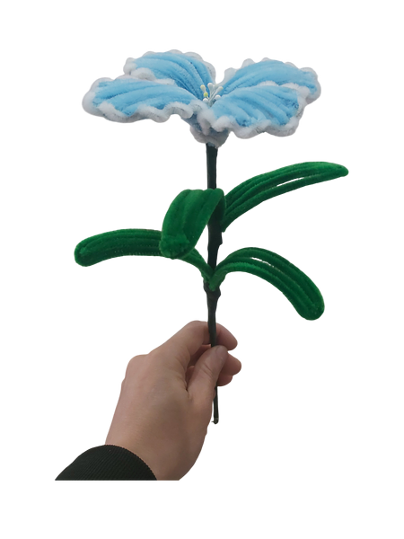 The Forever Ocean Lily Flower