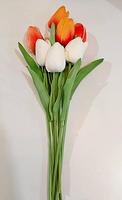 Single Tulip Flower