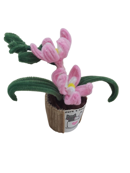 Sweet Pink Spring Pot Flower
