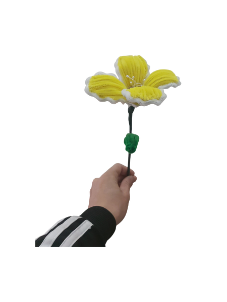 Golden Glow Lily Flower