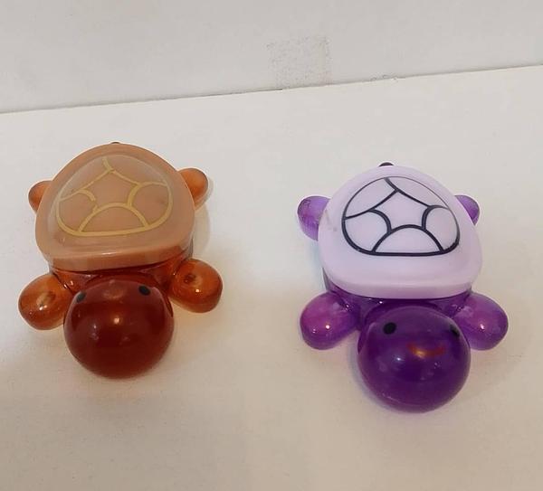 Glow In-the-dark Turtle