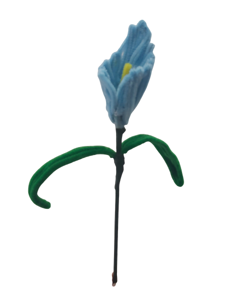 Sky Blue Iris Stem flower
