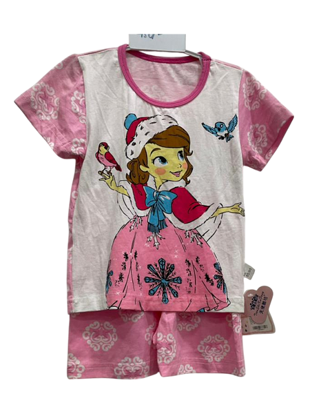Disney Animated T-shirt and Shorts set